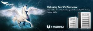 Pegasus雷電DAS陣列柜