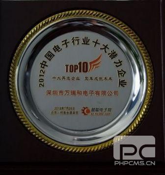電子行業(yè)十大潛力企業(yè)獎(jiǎng)牌